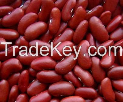 Red Kidney Bean