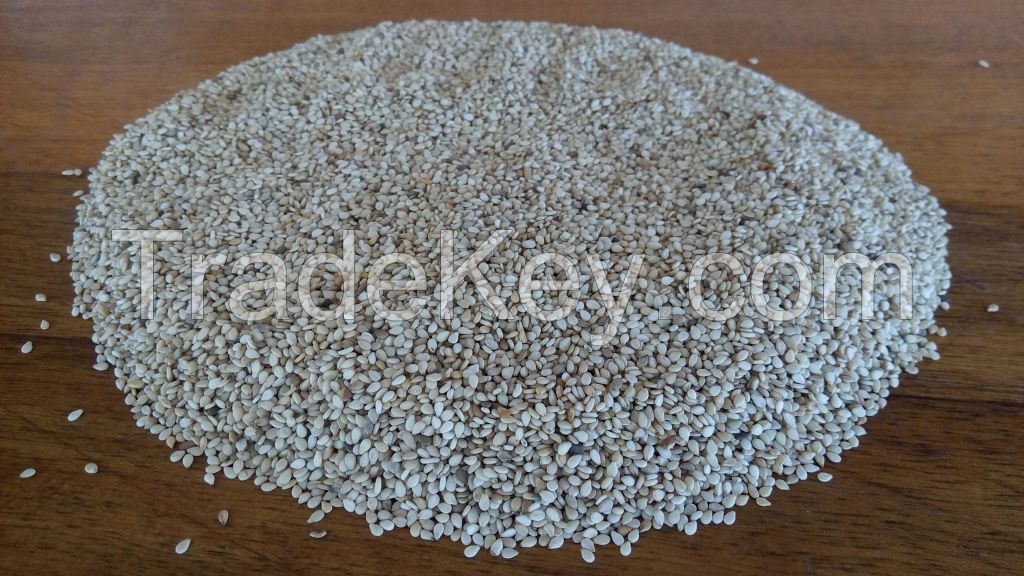 Sesame Seeds - White sesame from Burkina Faso