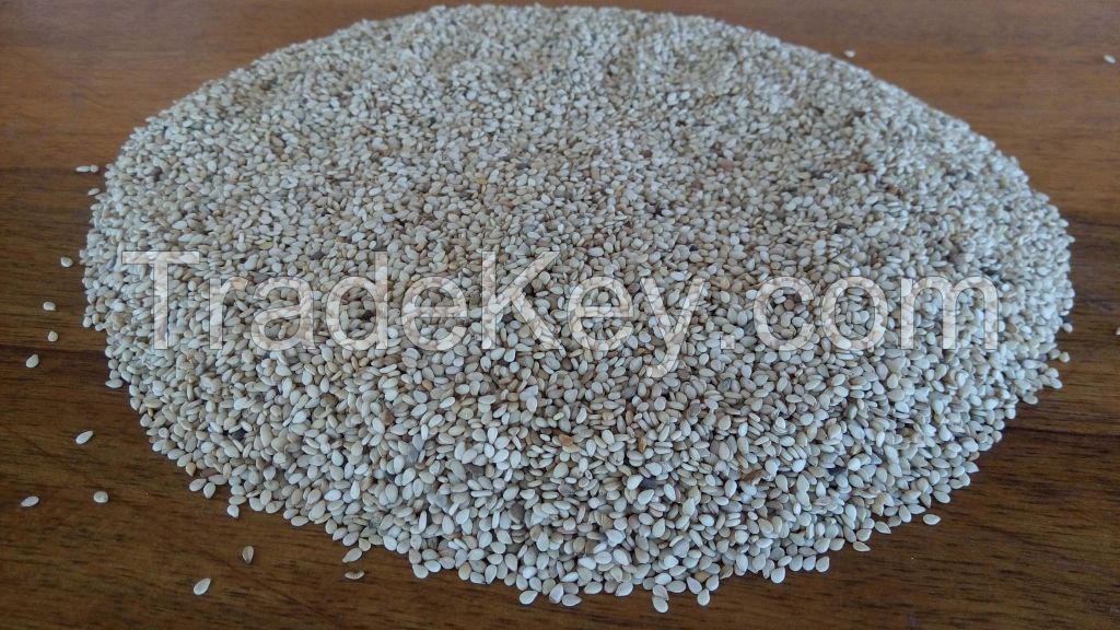 Sesame Seeds - White sesame from Burkina Faso