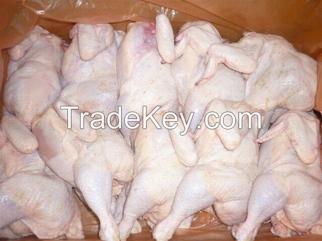 Grade ''A''HALAL Frozen Whole Chicken / Chicken leg quarter / Chicken whole leg