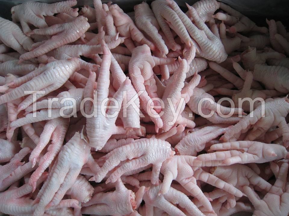 Frozen Chicken Feet / Frozen Chicken Paws / Chicken Feet  and Paws