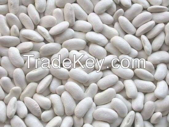 White Kidney Beans, New Crop White Beans