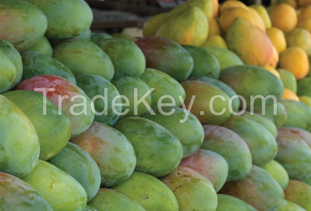 Mango Seller