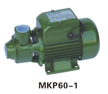 end-suction peripheral pump