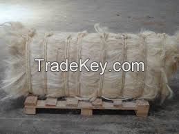 Raw sisal fiber / sisal fibre