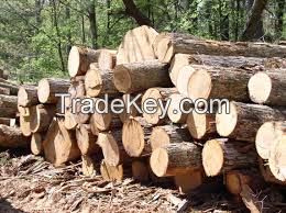Timber woods (pine teak cypress mahugvny)