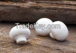 Fresh And White Frozen Mushroom