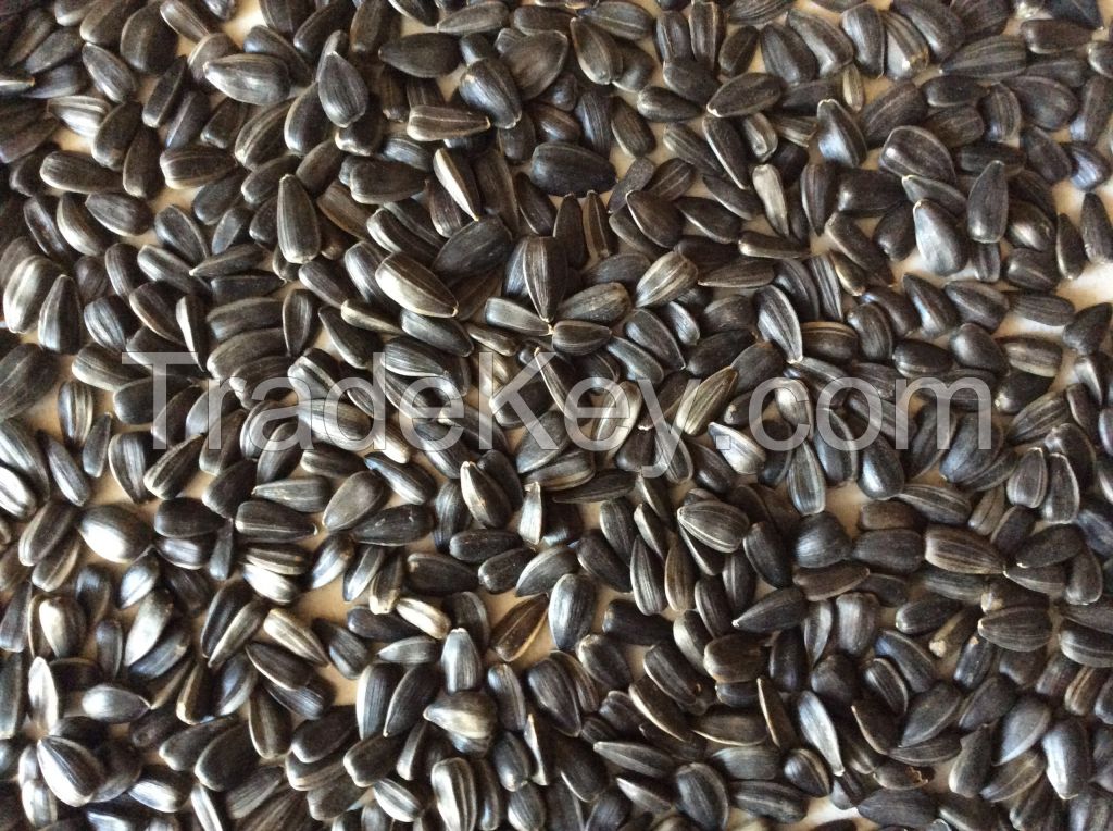 Confectionery Sunflower Seeds