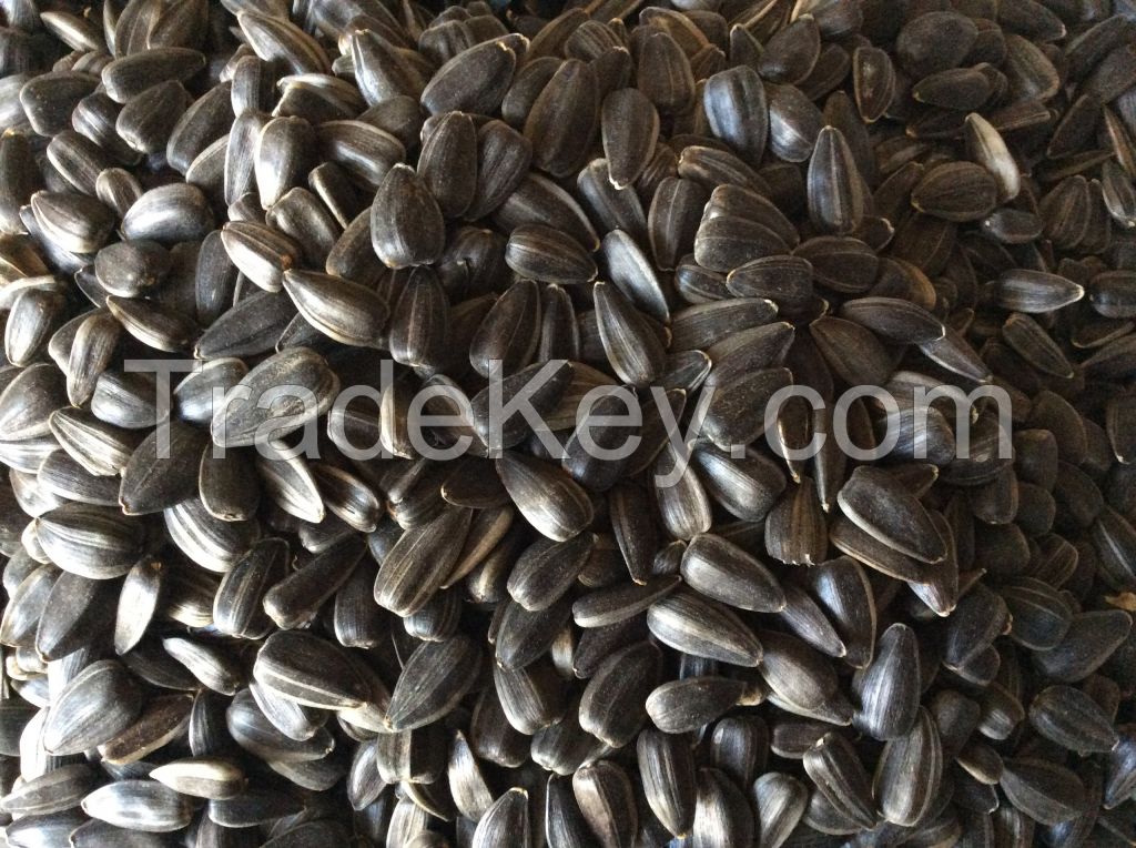 Confectionery Sunflower Seeds