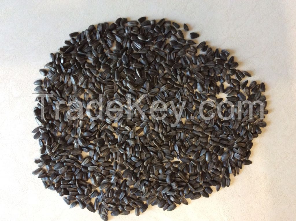 Confectionery Sunflower Seeds