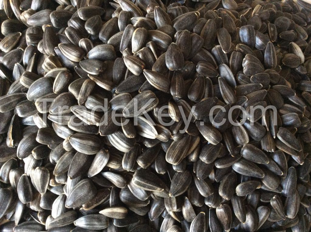 Confectionery Sunflower Seeds