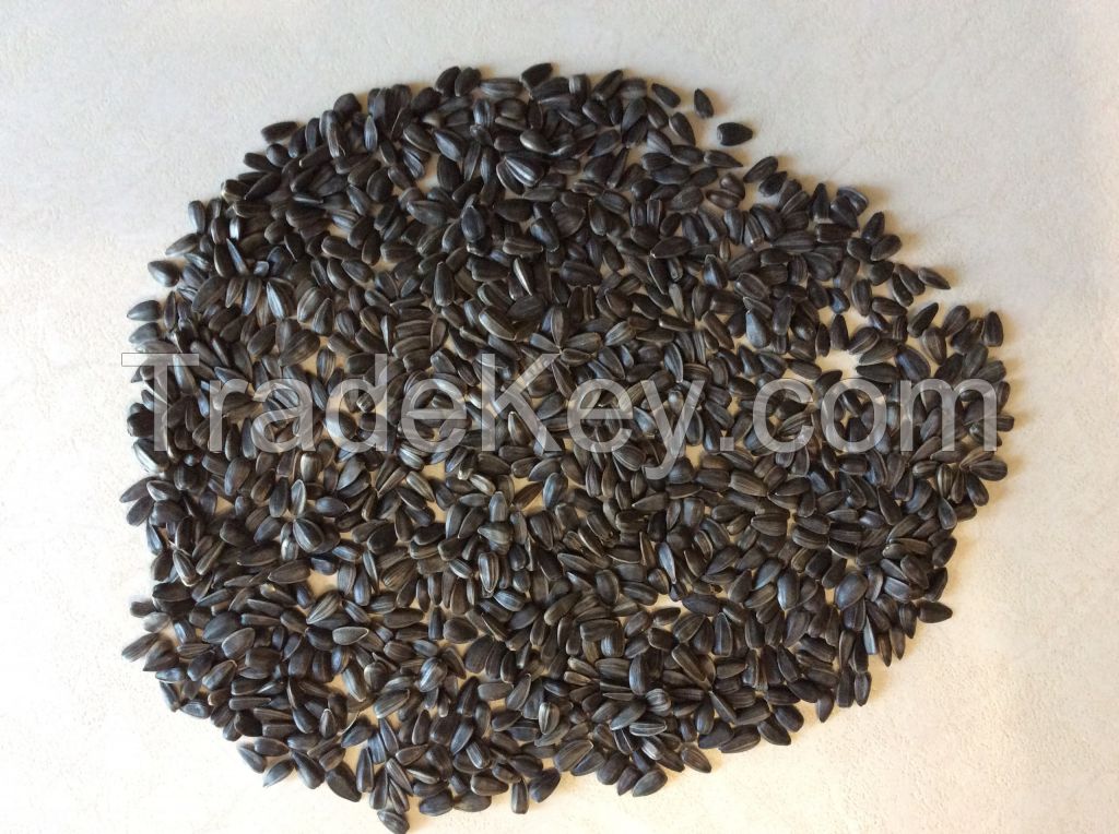 Confectionery Sunflower Seeds (Black)