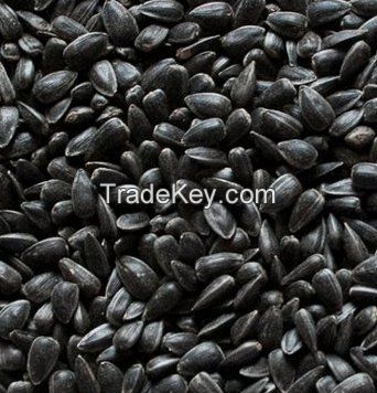 Oil sunflower seeds