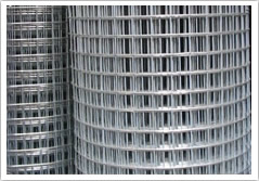 Welded Wire Mesh