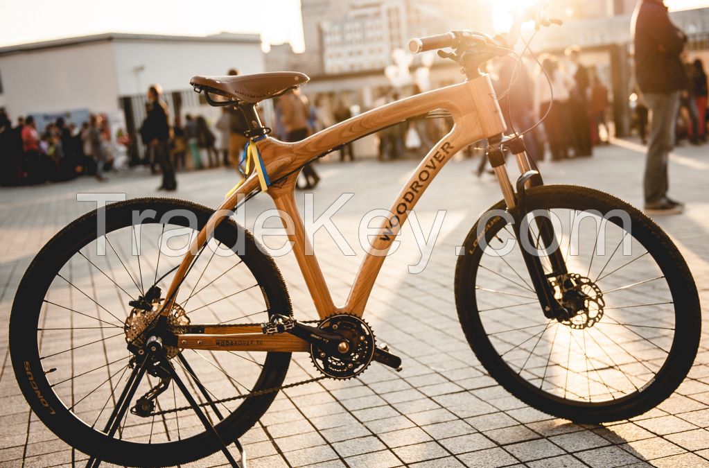 luxury MTB-bicycle