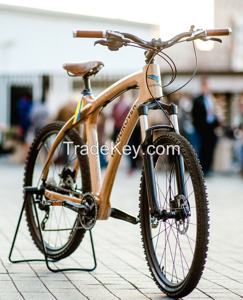 luxury MTB-bicycle