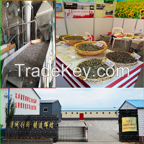high quality raw sunflower seeds for human from inner mongolia China 