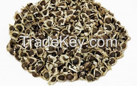 Moringa Seeds