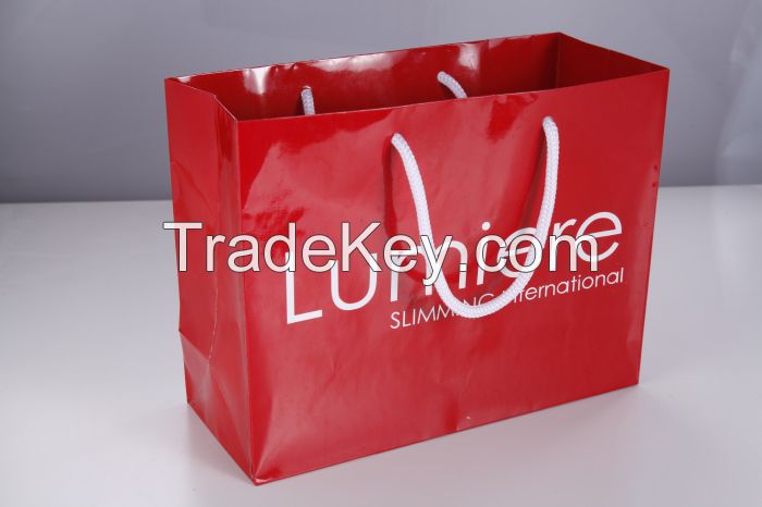 Custom colorful paper gift bag for clothing packaging