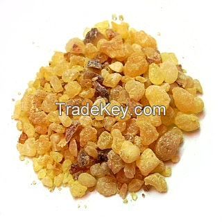 Frankincense Gum