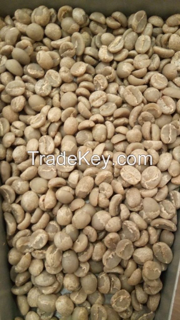Green Kenyan Coffee Beans