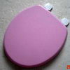 Mould Wood toilet seat