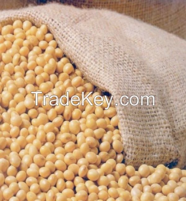 Yellow Soybean Grade 2 GMO Human Consumption