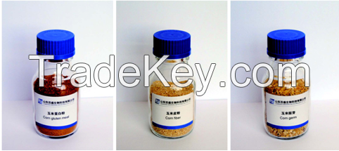 Corn Starch Fine powder By Shandong Baisheng Biotech