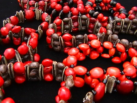 Ethnic Bracelets, Ecologic Jewels,  Seeds bracelets peruvian forest