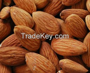 Raw Almond Nuts