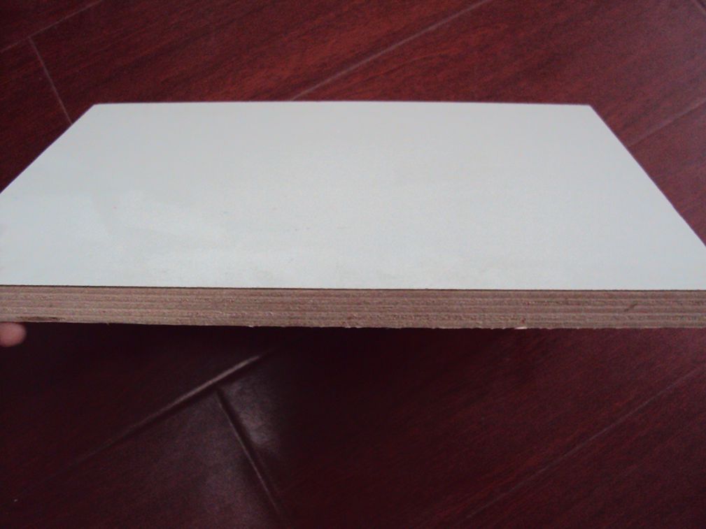 HPL plywood / White Melamine furniture plywood / Fire resistent plywood /plywood wholesale