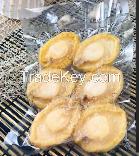 Frozen Cooked Abalone