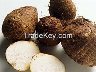 African yam