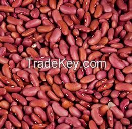 dry kidney beans