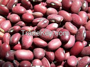 dry kidney beans