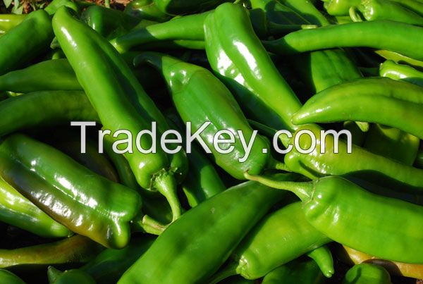 Green hot pepper