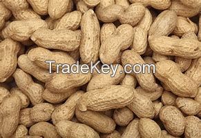 pea nuts
