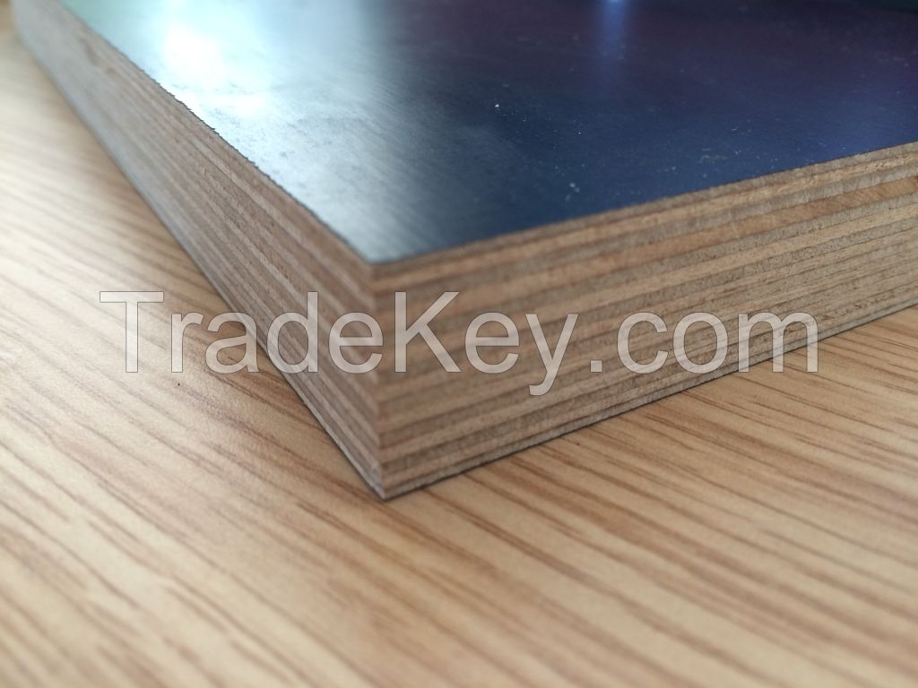 Chanta factory film faced plywood with good quality and good price