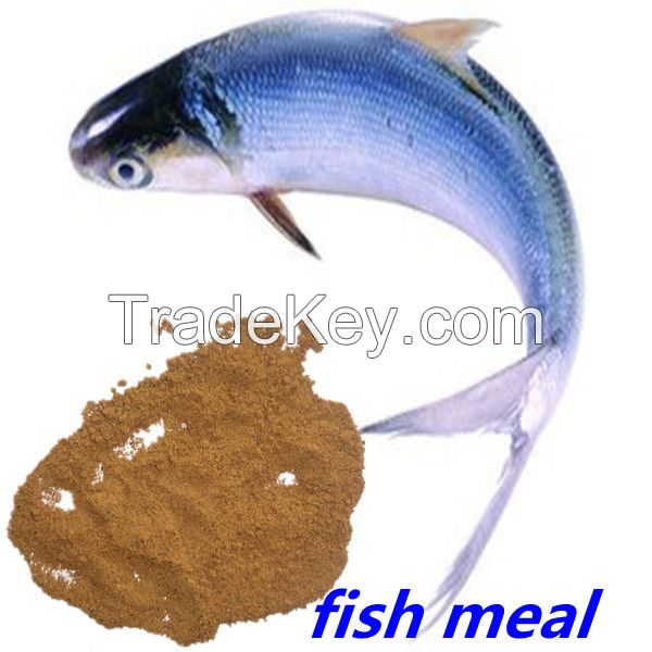 Fish meal 65% price for sale