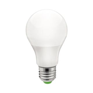 Classic LED Globe Bulb A60 7W with E27 Base
