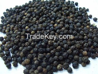 Top quality dry black pepper