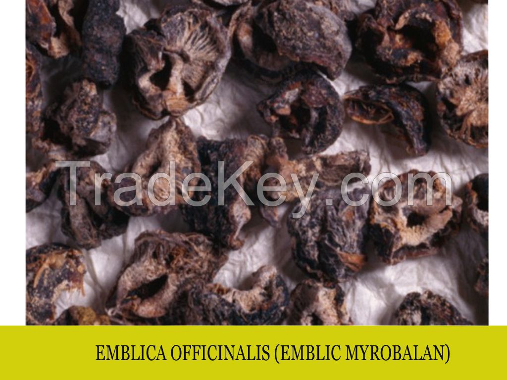 Emblica Officinalis Extract