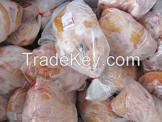 Quality Halal Whole Frozen Chicken