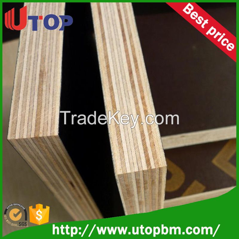 Linyi Film Faced Plywood Marine Plywood Construction Plywood