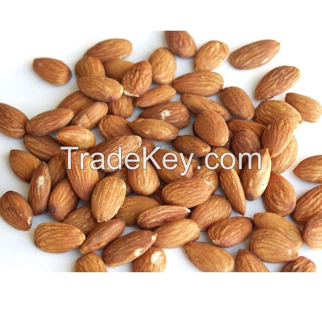 Raw sweet almond without shell handpicked origin wholesale and bulk nuts