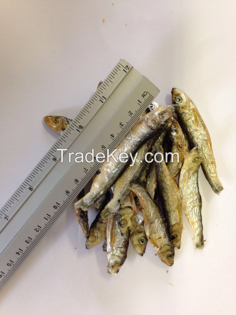 Dried Sprats / Anchovy fish