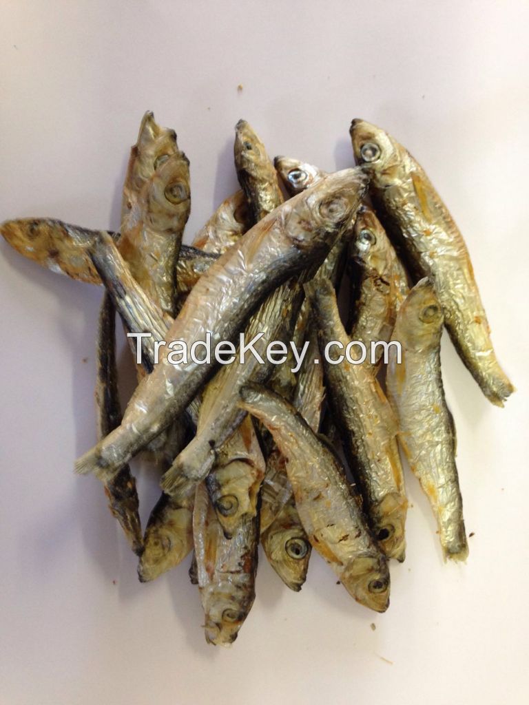 Dried Sprats / Anchovy fish