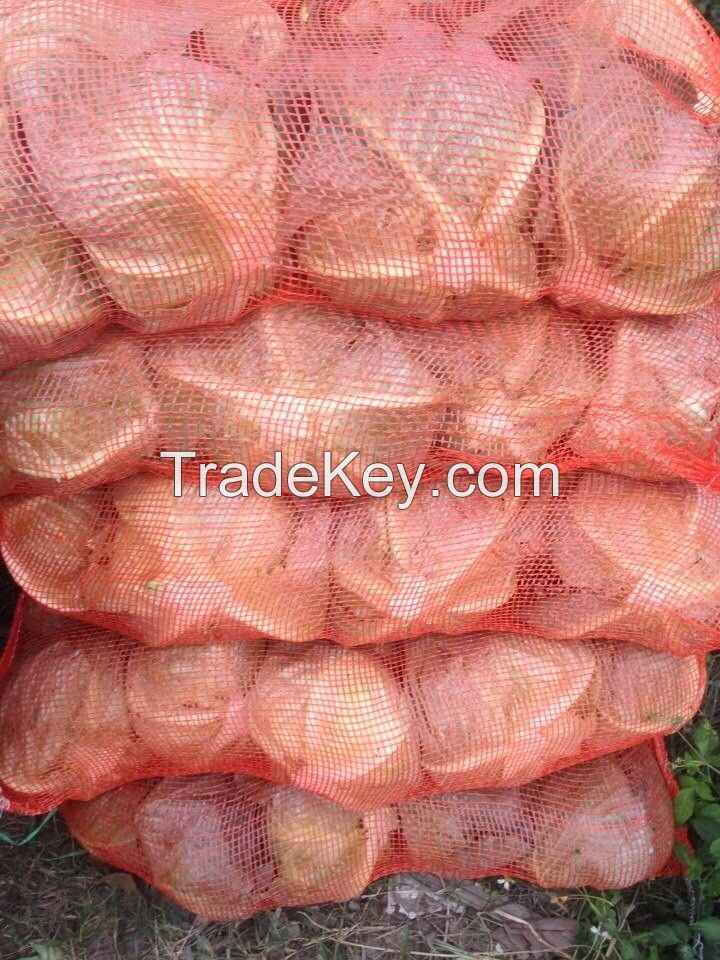 VIETNAM FRESH CABBAGES - +84981482499