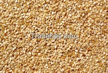 High Quality Grade A Sesame Seeds | Nigeria