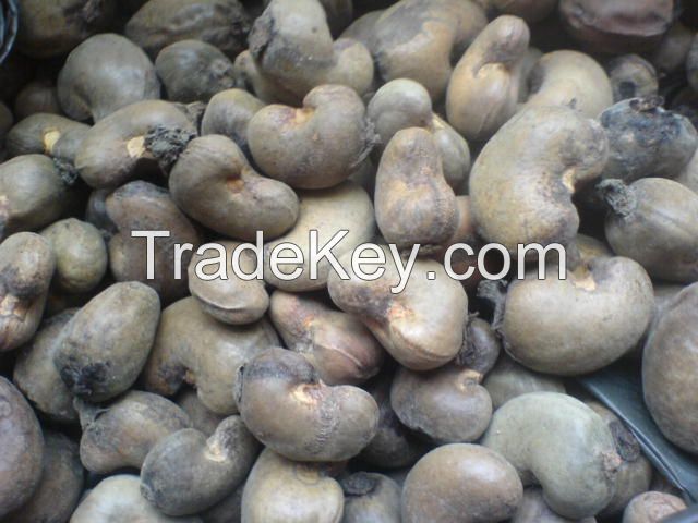 Grade A High Quality Raw and Semi Processed Cashew Nut from Nigeria